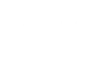 Логотип Winia